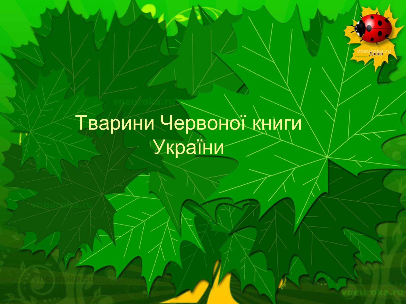Презентація на тему «Екологічні проблеми лісів України» - Слайд #66