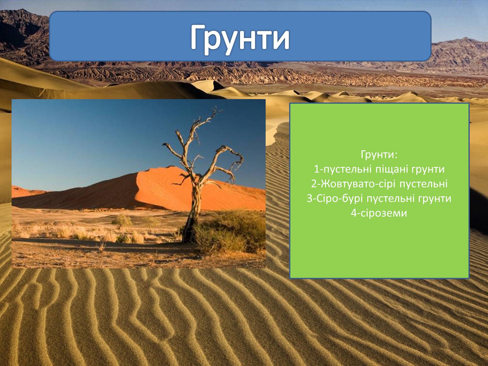 Презентація на тему «Пустелі та напівпустелі» - Слайд #5