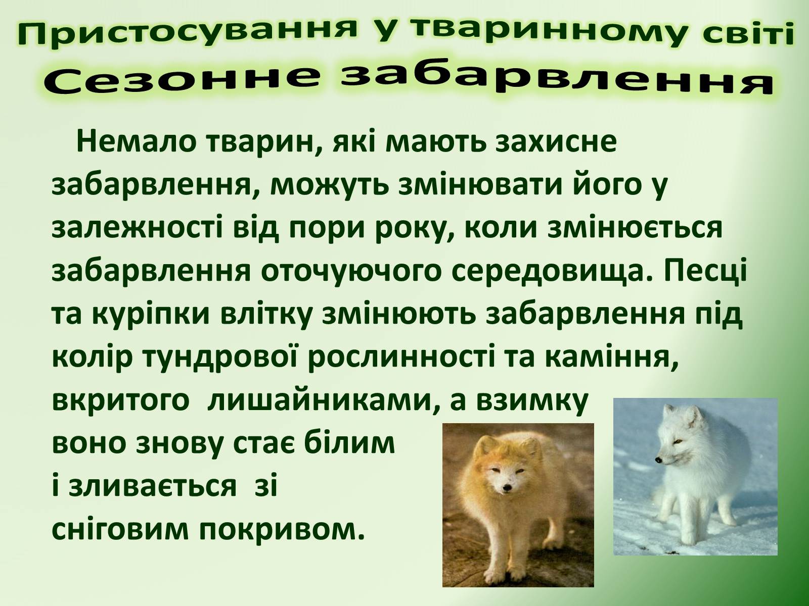 Презентація на тему «Пристосування у тваринному світі та їх відносний характер» - Слайд #10