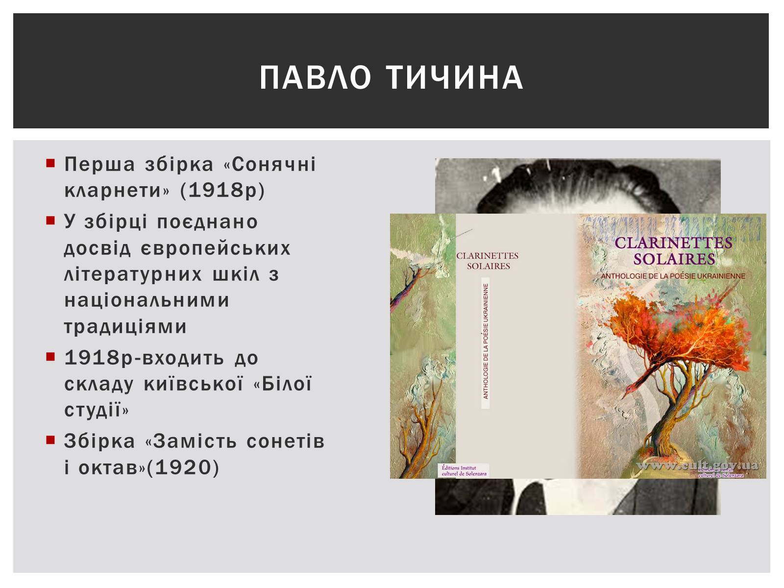 Презентація на тему «Українська література на початку ХХ століття» - Слайд #7