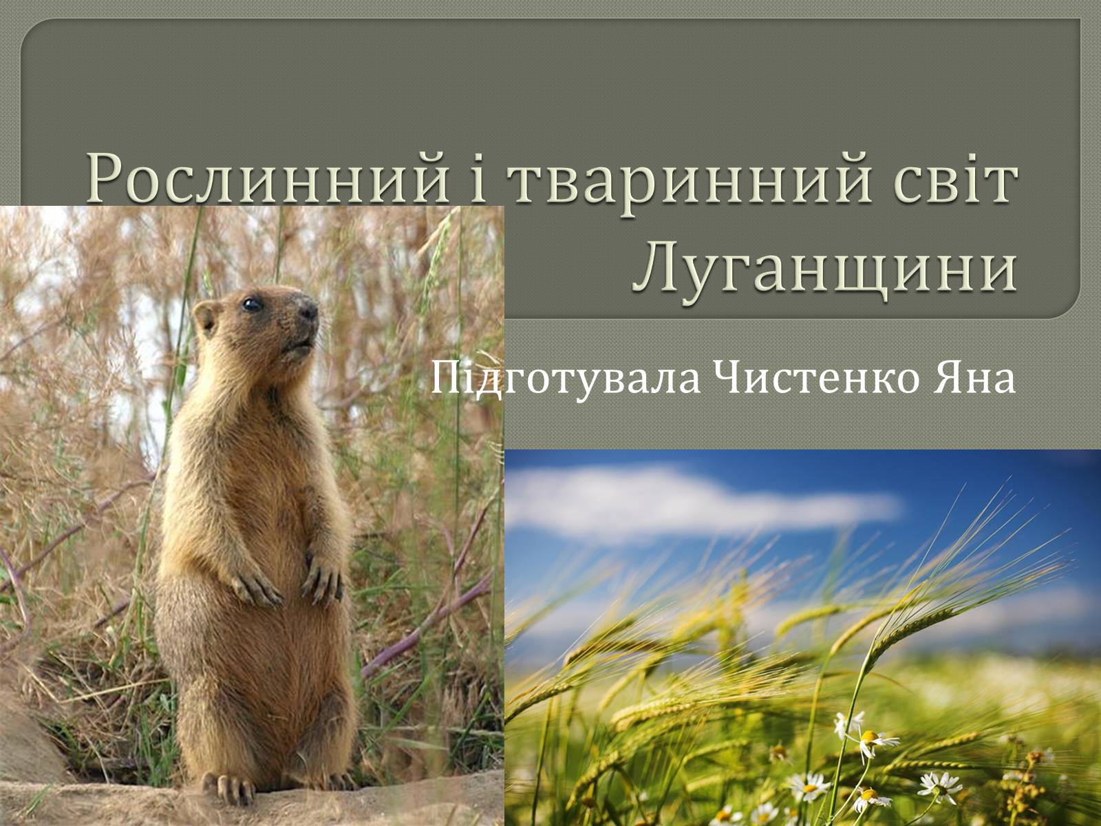 Презентація на тему «Рослинний і тваринний світ Луганщини» - Слайд #1