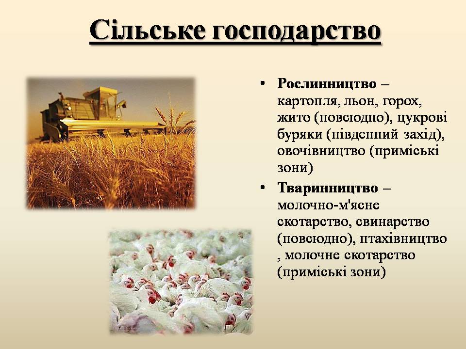 Презентація на тему «Республіка Білорусь» (варіант 5) - Слайд #12