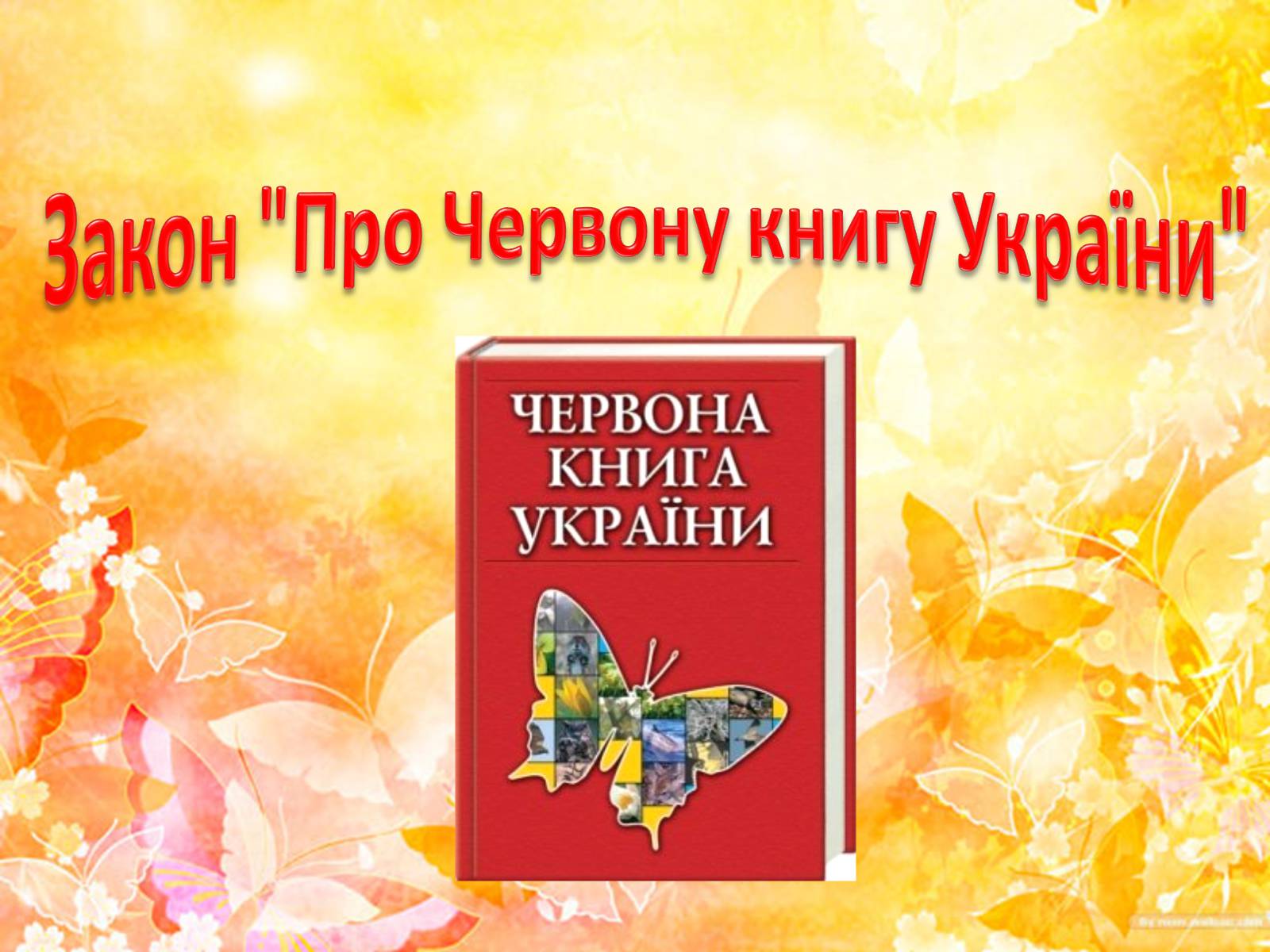 Презентація на тему «Природоохоронне законодавство України» (варіант 2) - Слайд #4