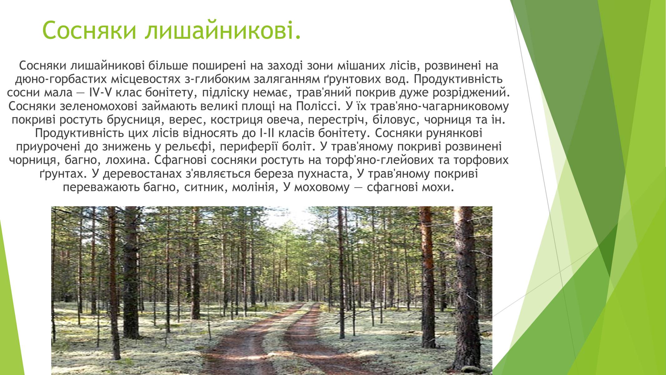 Презентація на тему «Рослинний покрив України» (варіант 1) - Слайд #5