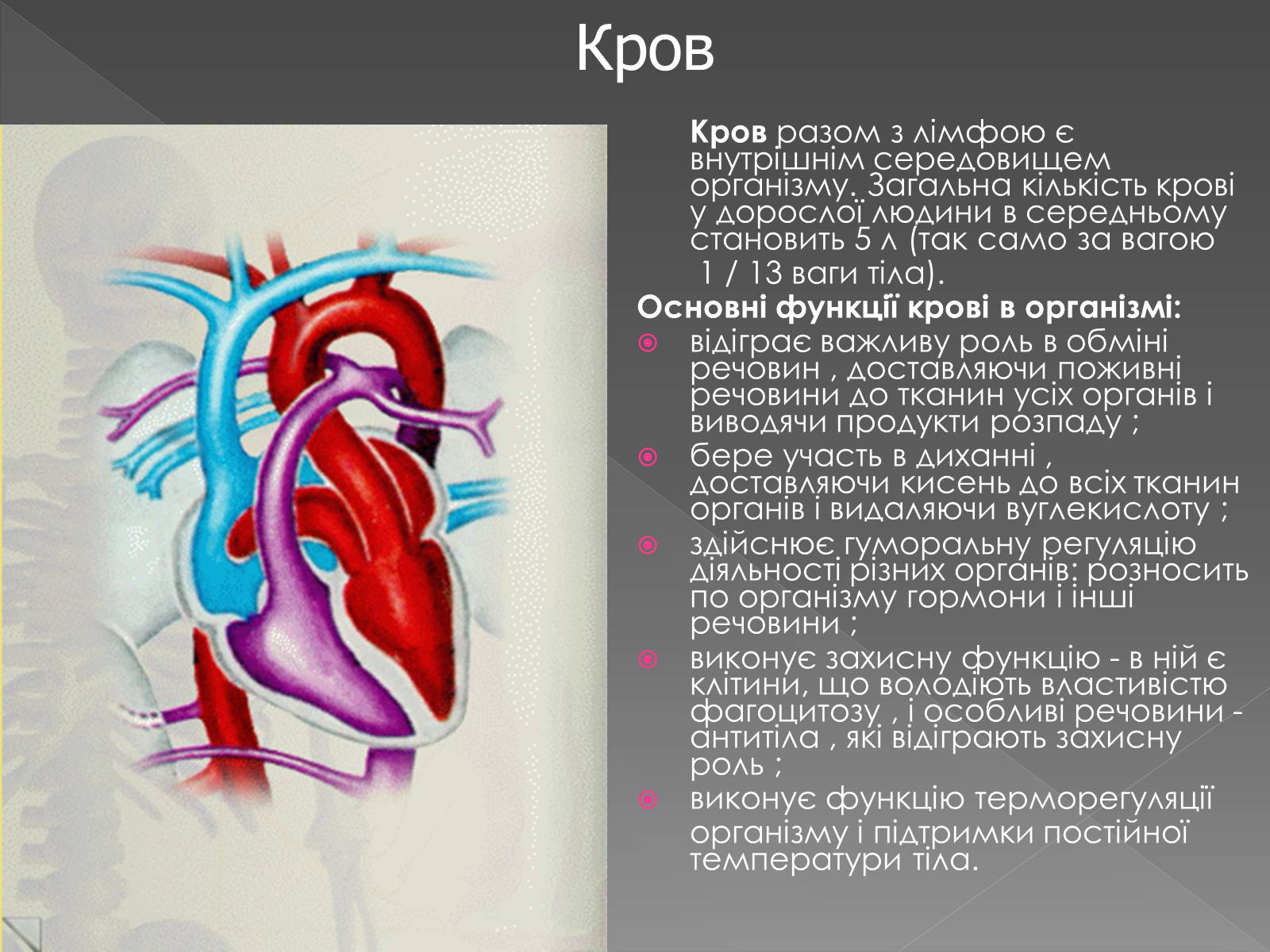 Презентація на тему «Кровоносна система» (варіант 2) - Слайд #2
