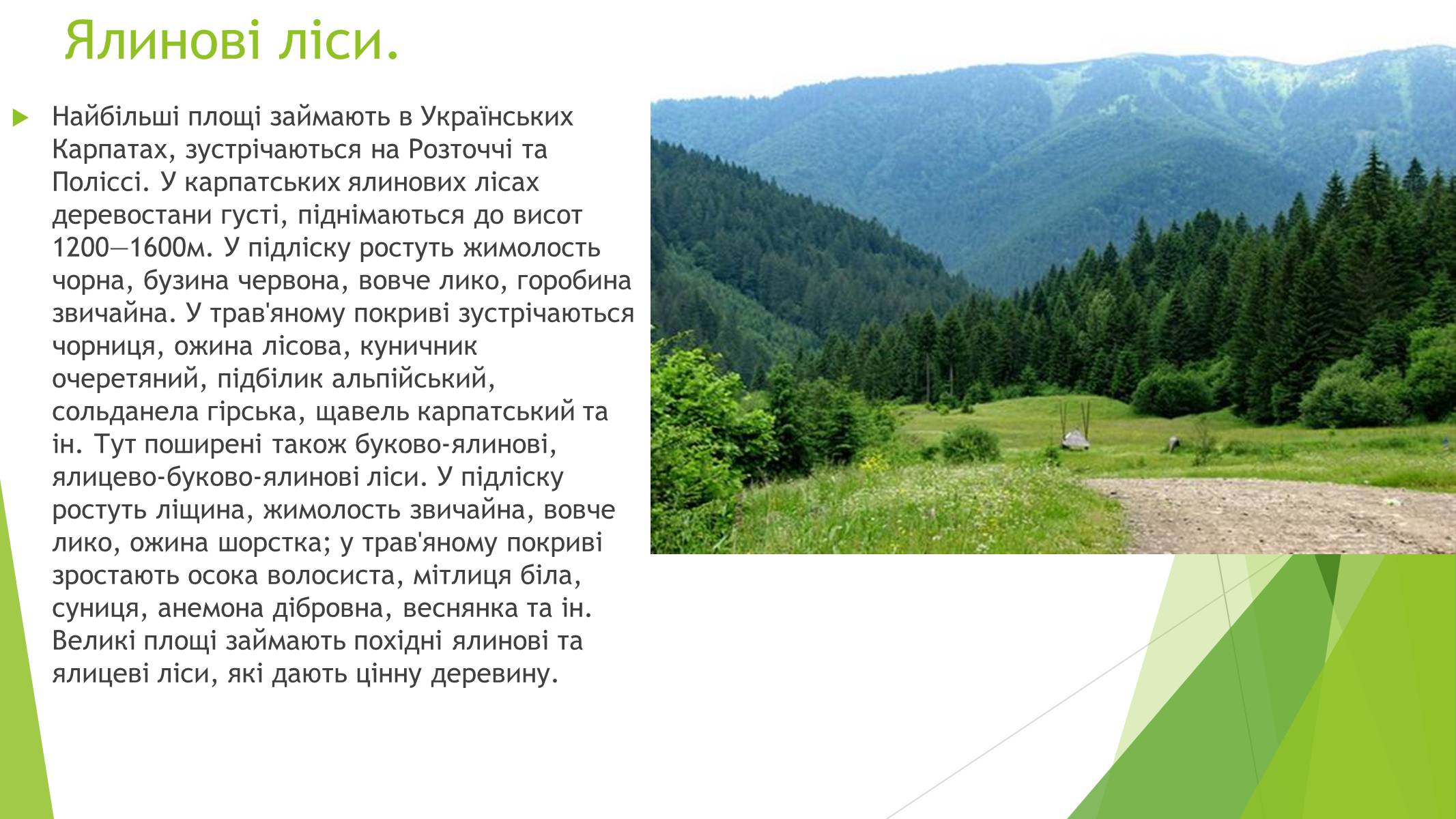 Презентація на тему «Рослинний покрив України» (варіант 1) - Слайд #8