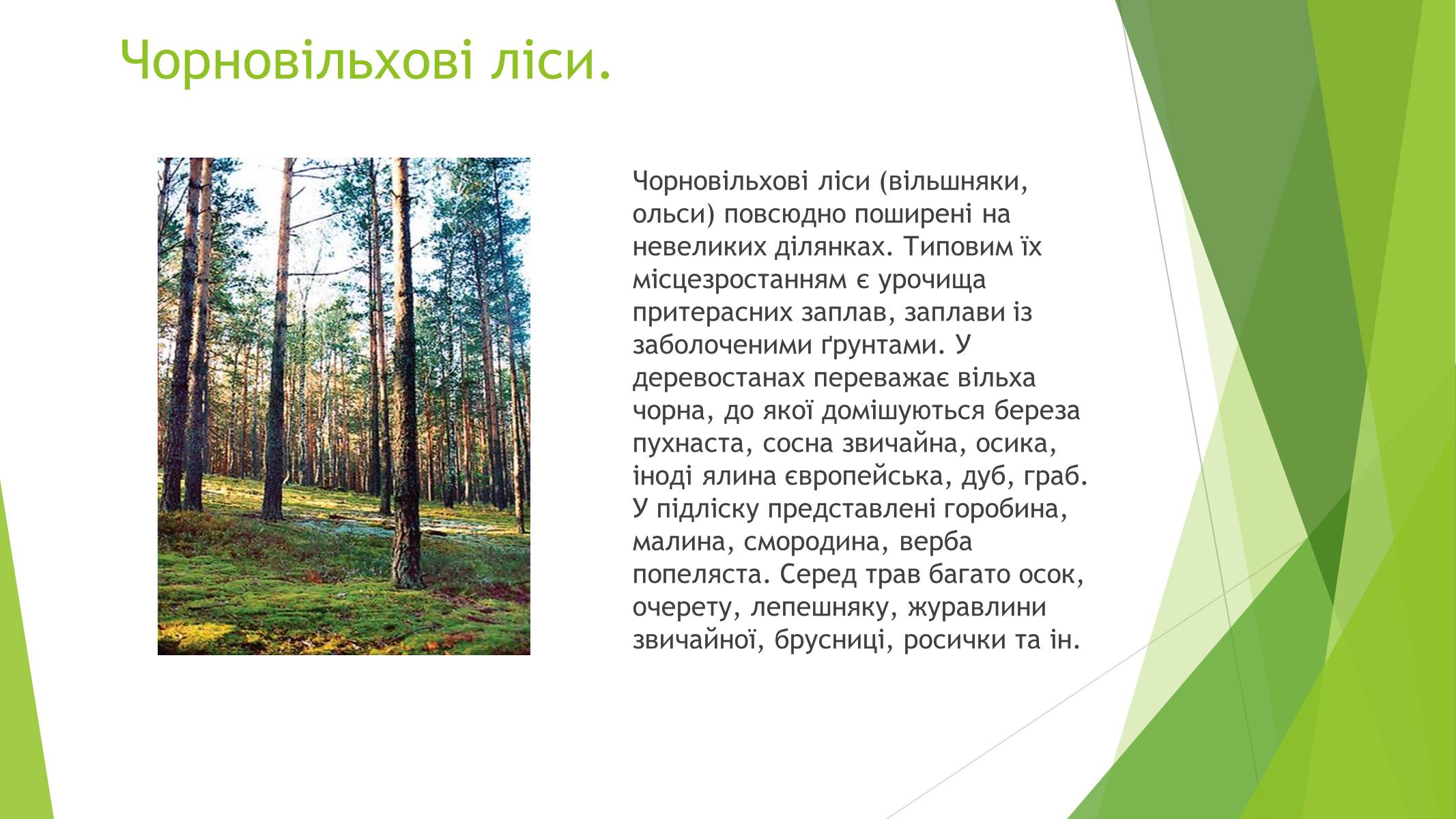 Презентація на тему «Рослинний покрив України» (варіант 1) - Слайд #10
