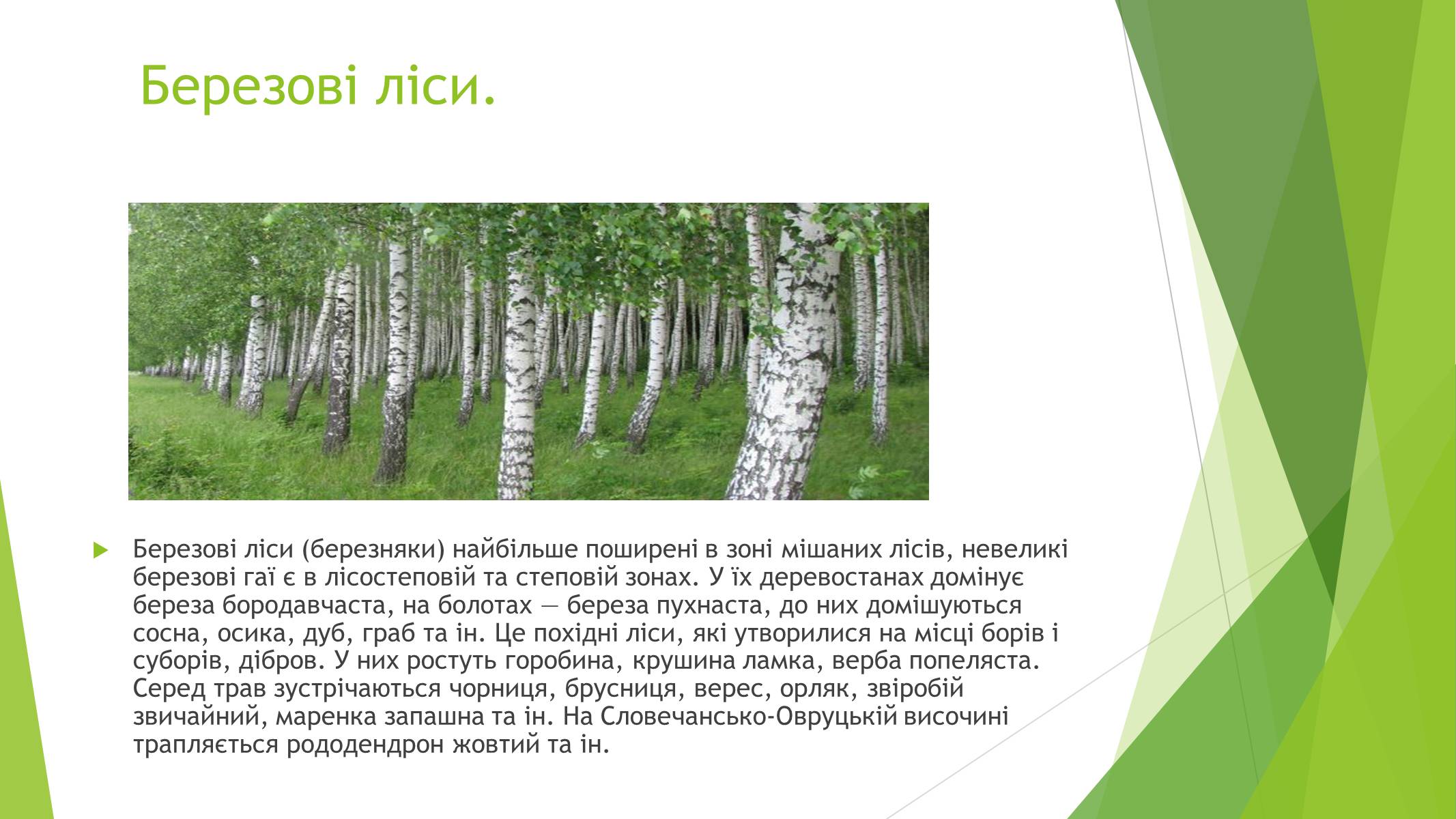 Презентація на тему «Рослинний покрив України» (варіант 1) - Слайд #11