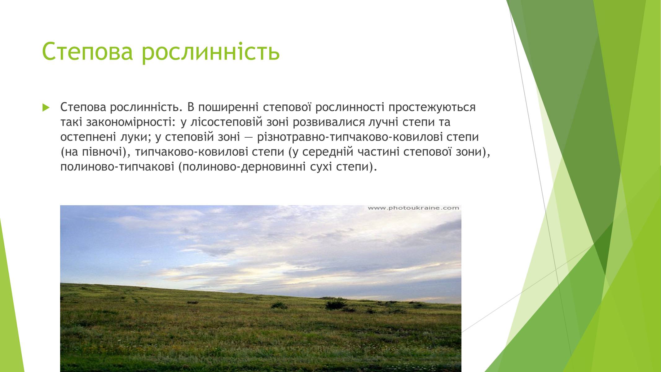 Презентація на тему «Рослинний покрив України» (варіант 1) - Слайд #12