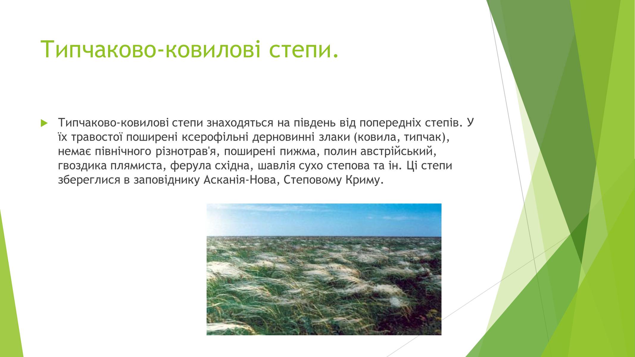 Презентація на тему «Рослинний покрив України» (варіант 1) - Слайд #14