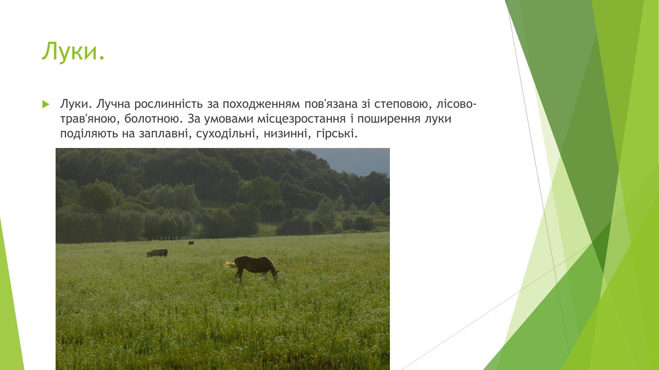 Презентація на тему «Рослинний покрив України» (варіант 1) - Слайд #15