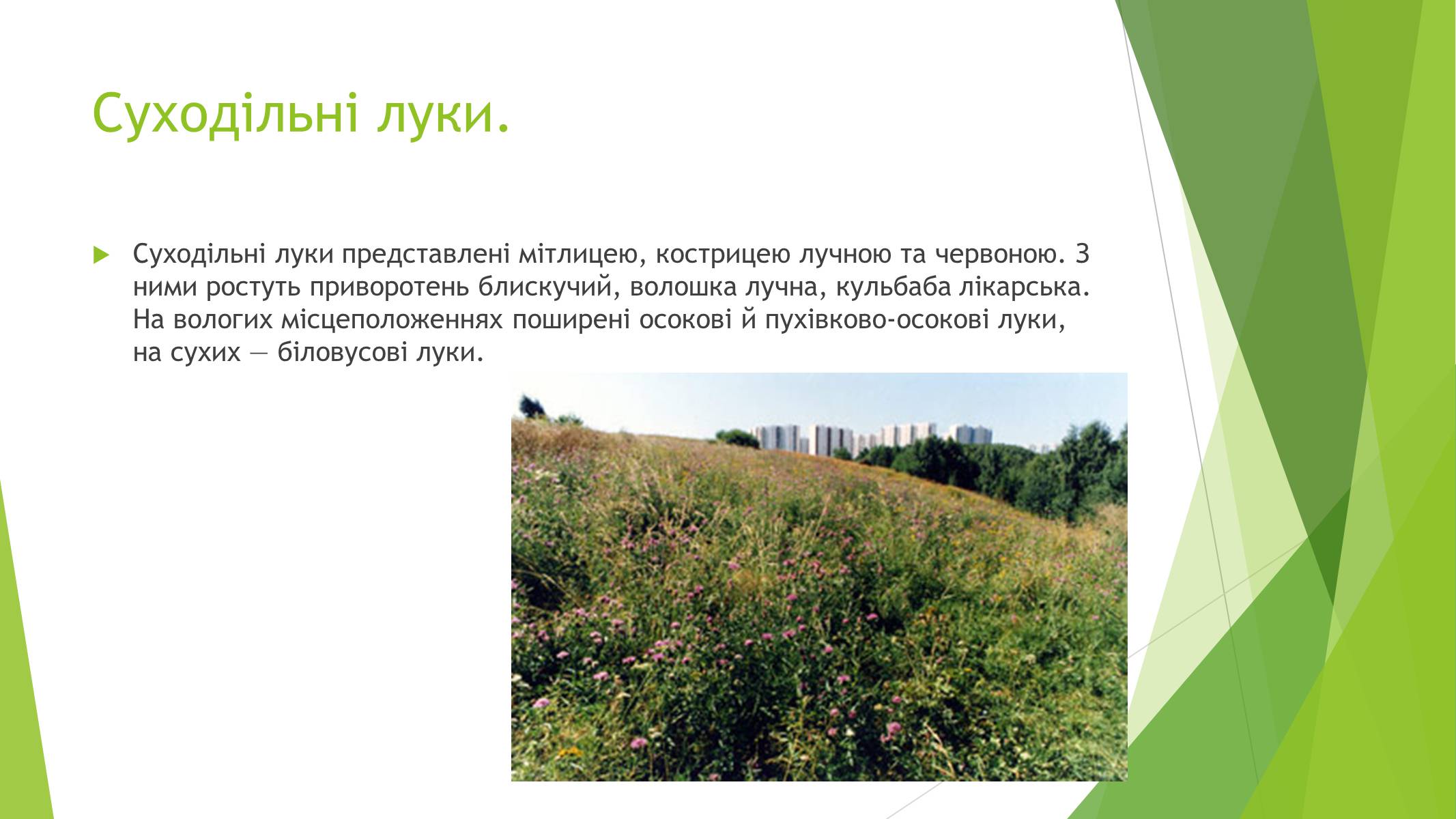 Презентація на тему «Рослинний покрив України» (варіант 1) - Слайд #17