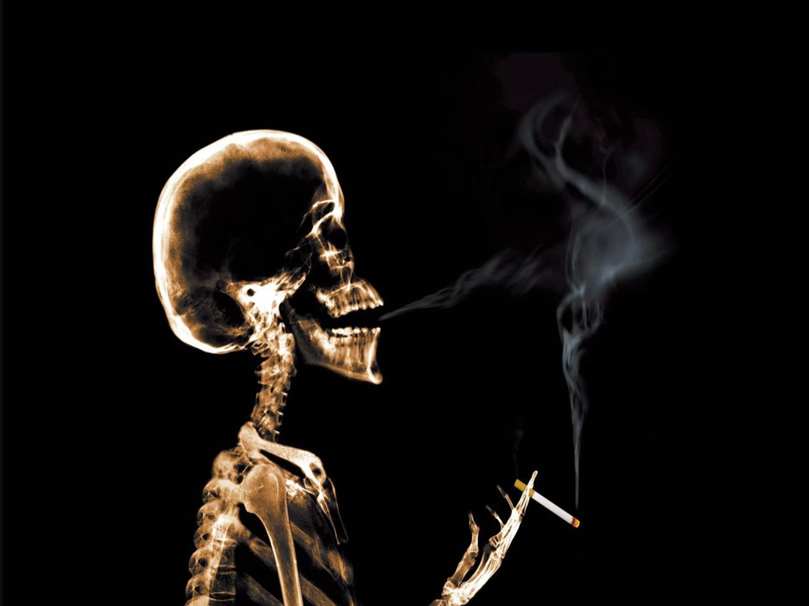 Презентація на тему «Пагубное влияние при употреблении табака» - Слайд #29
