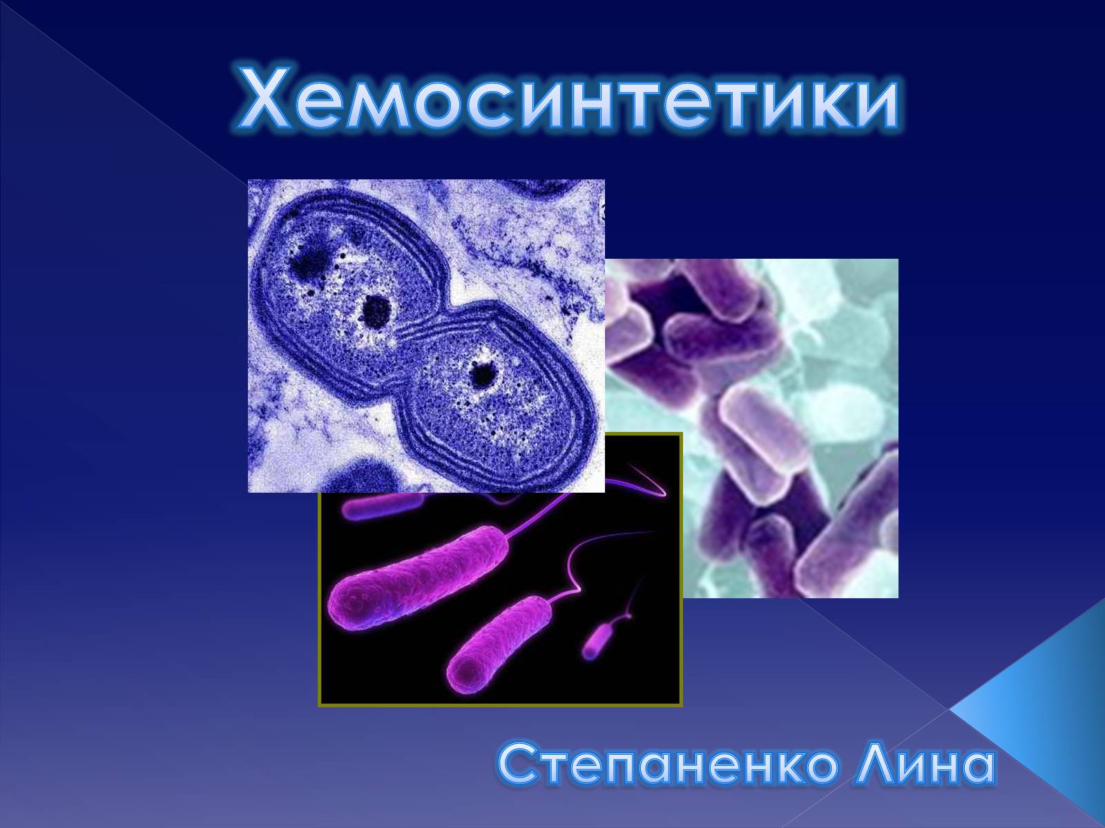 Презентація на тему «Хемосинтетики» - Слайд #1