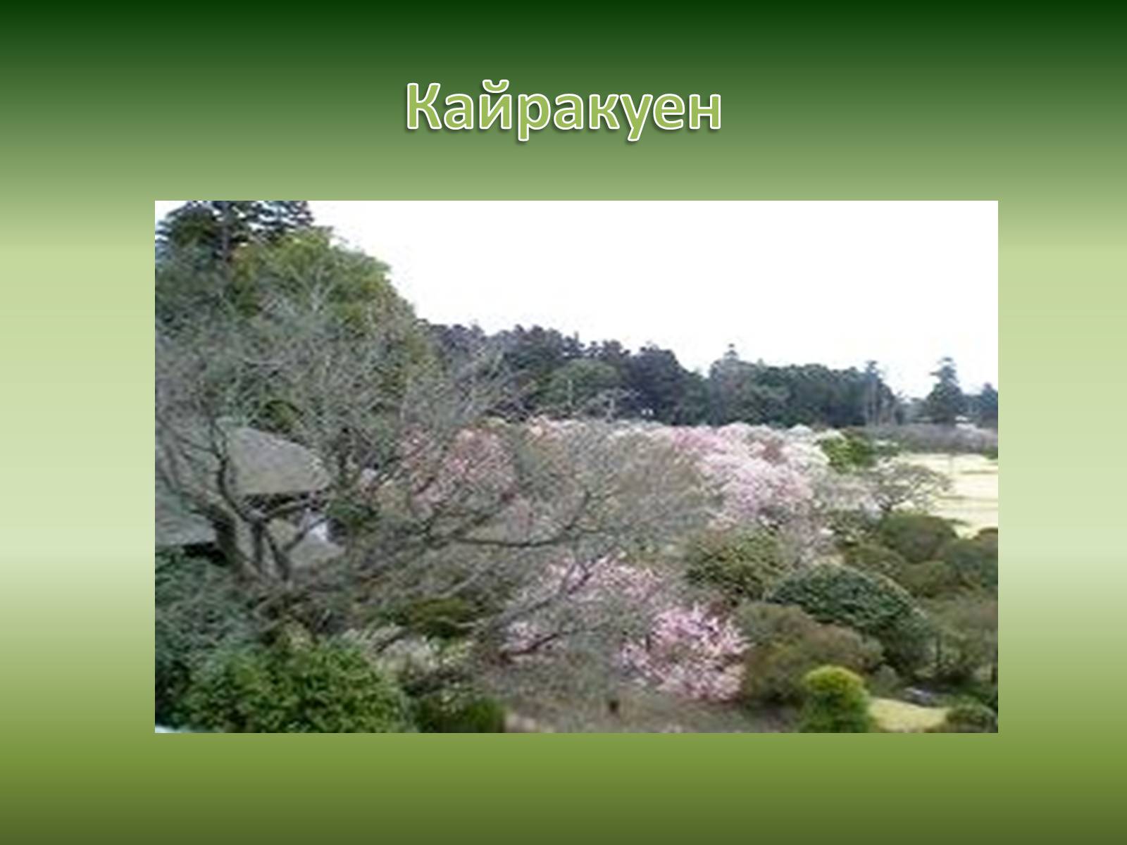 Презентація на тему «Японський сад» (варіант 2) - Слайд #16