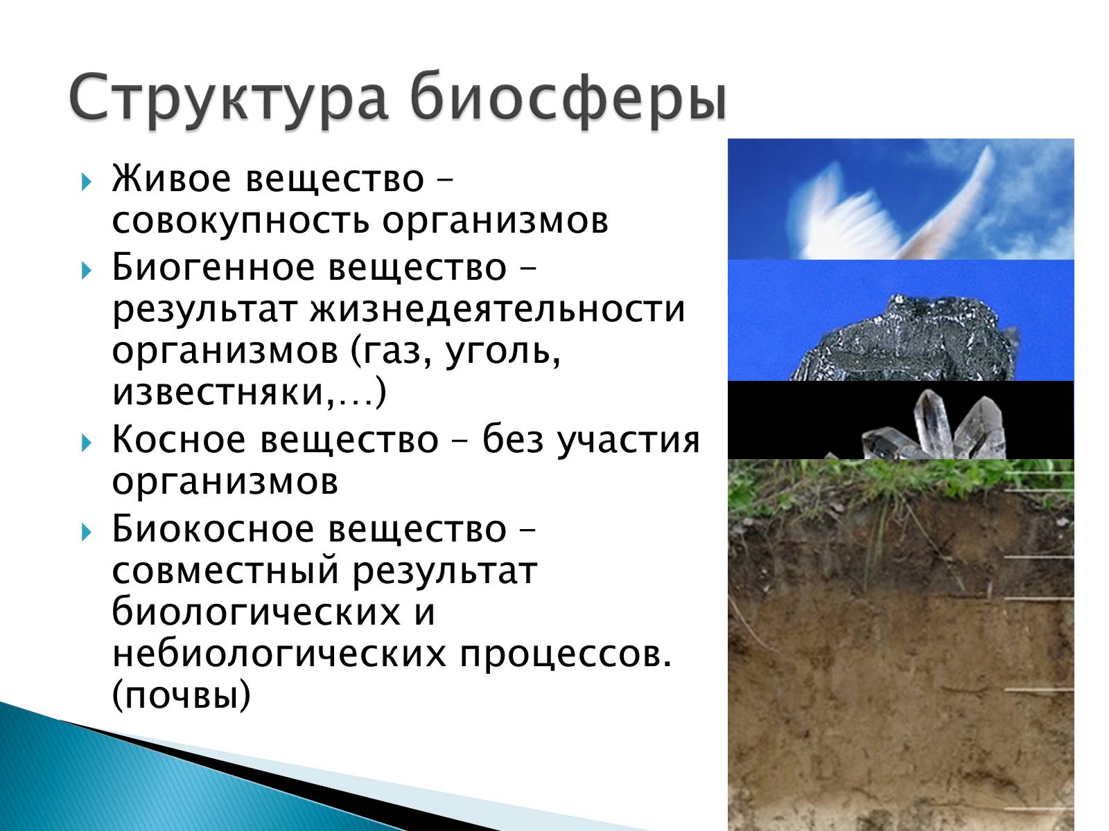 Презентація на тему «Структура биосферы» (варіант 2) - Слайд #5