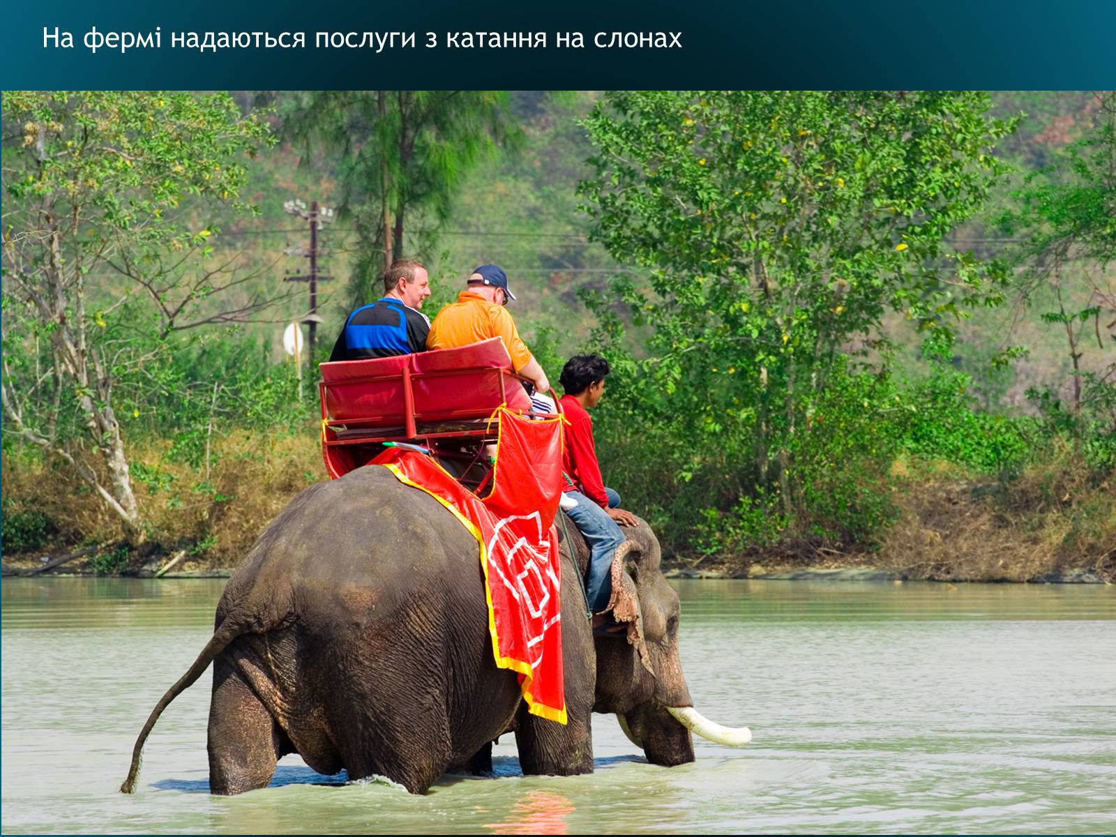 Презентація на тему «Туристичні об’єкти Таїланду» - Слайд #10