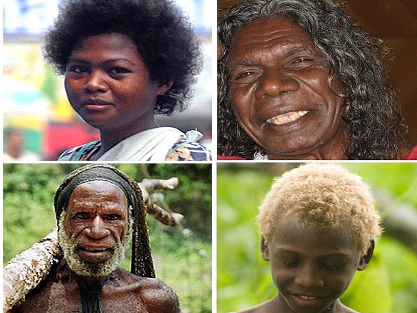 Люди австралоидной расы. Австралоиды океанийская раса. Меланезийская раса австралоидная. Австралийская негроидная раса. Австралоиды и негроиды.