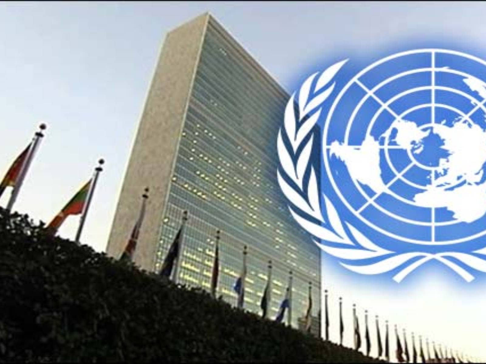 Презентація на тему «United Nations» (варіант 1) - Слайд #3