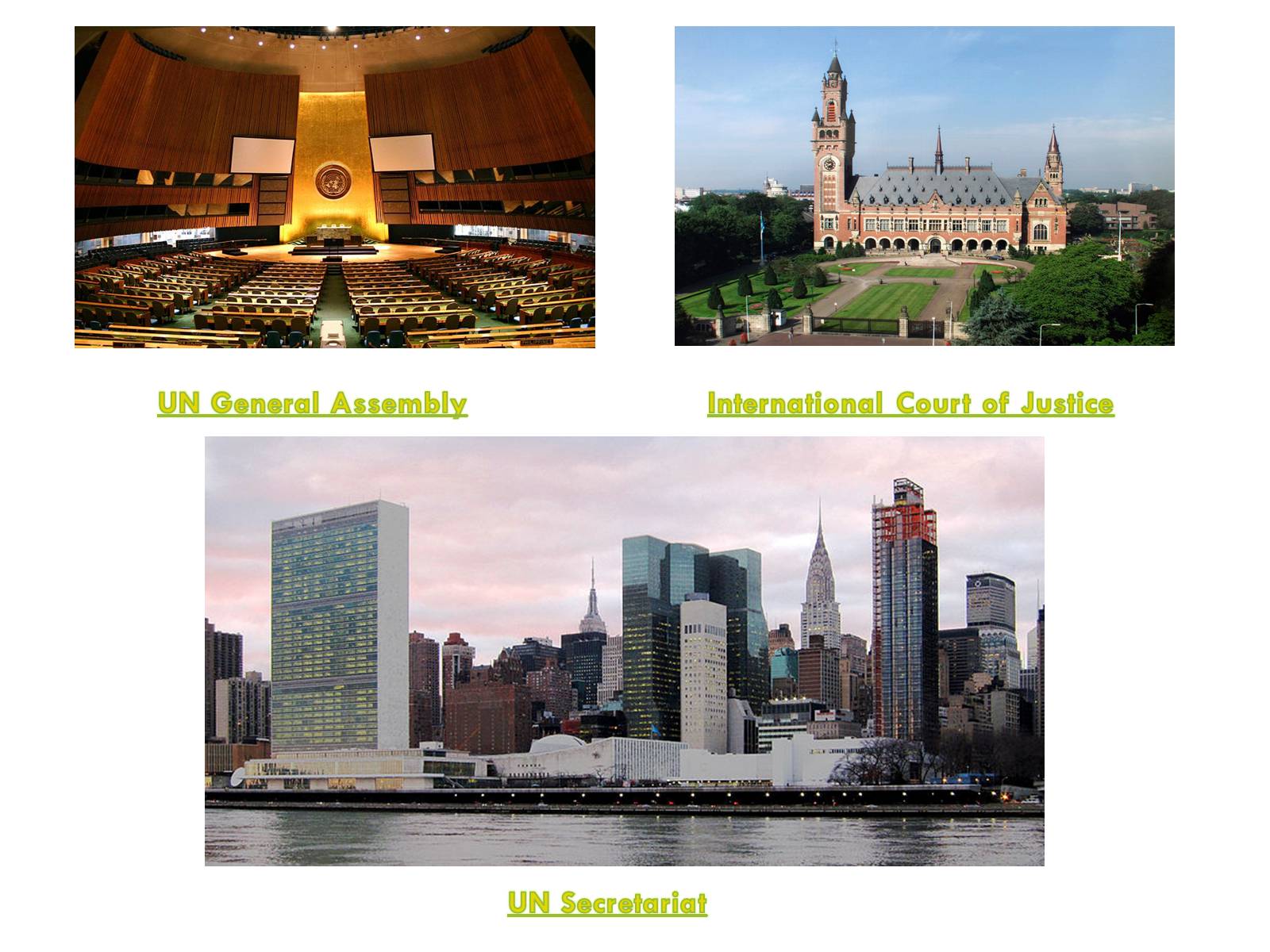 Презентація на тему «United Nations» (варіант 1) - Слайд #5