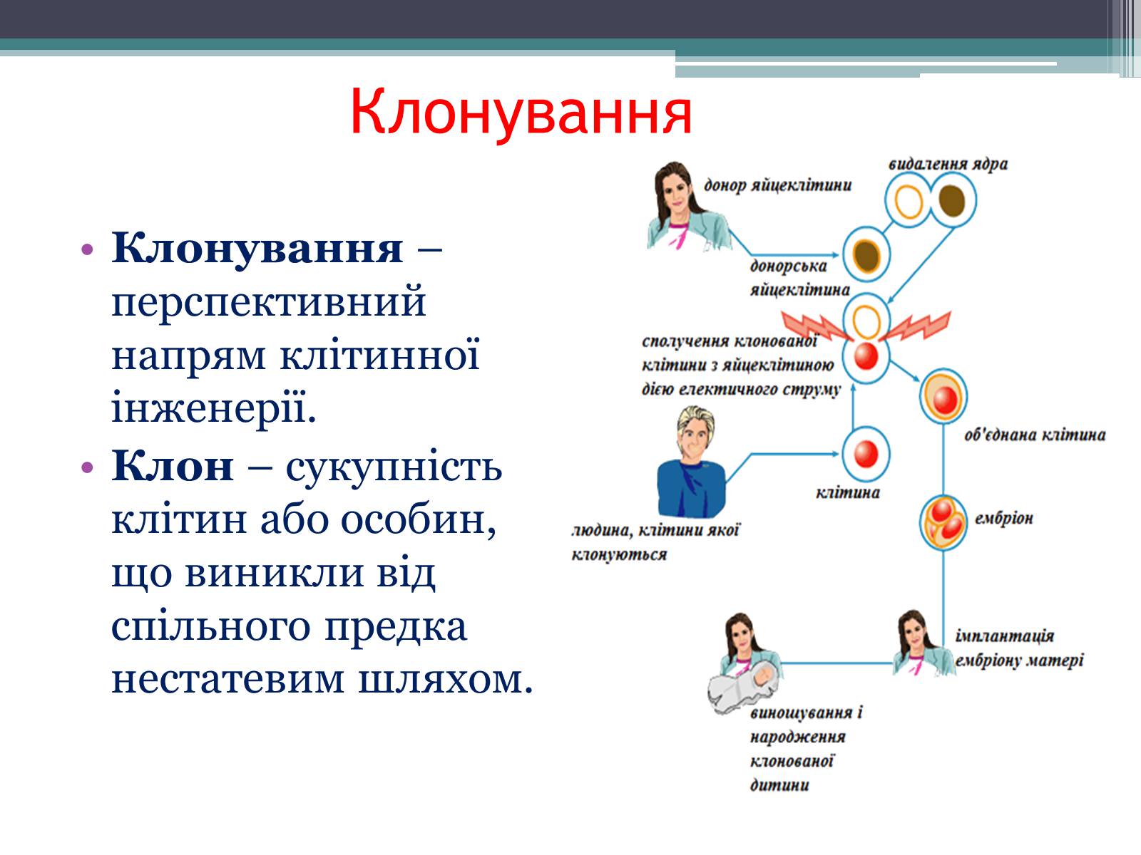 Презентація на тему «Основні напрямки сучасної біотехнології» (варіант 3) - Слайд #11