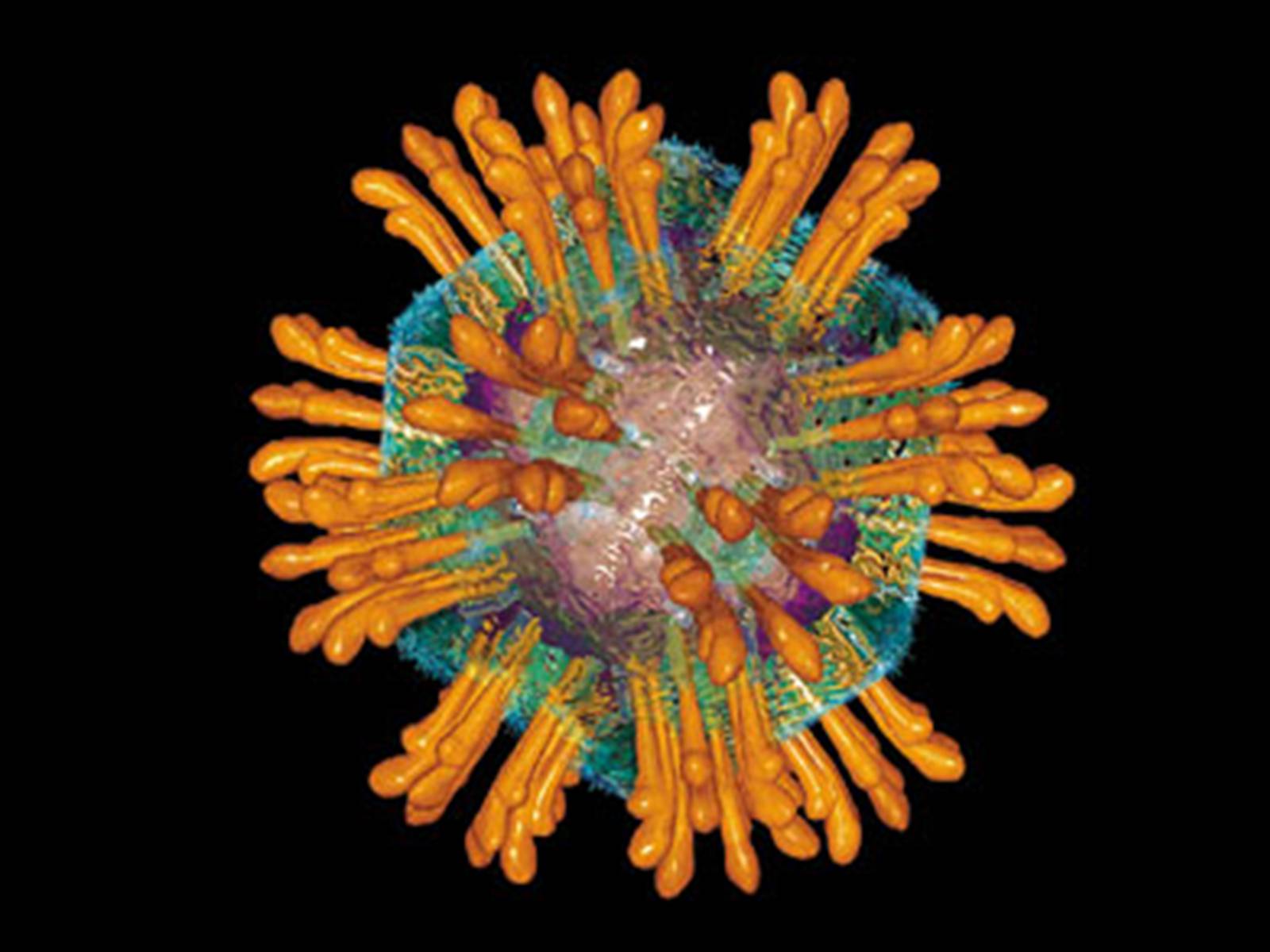 Презентація на тему «Вирусный гепатит» - Слайд #22