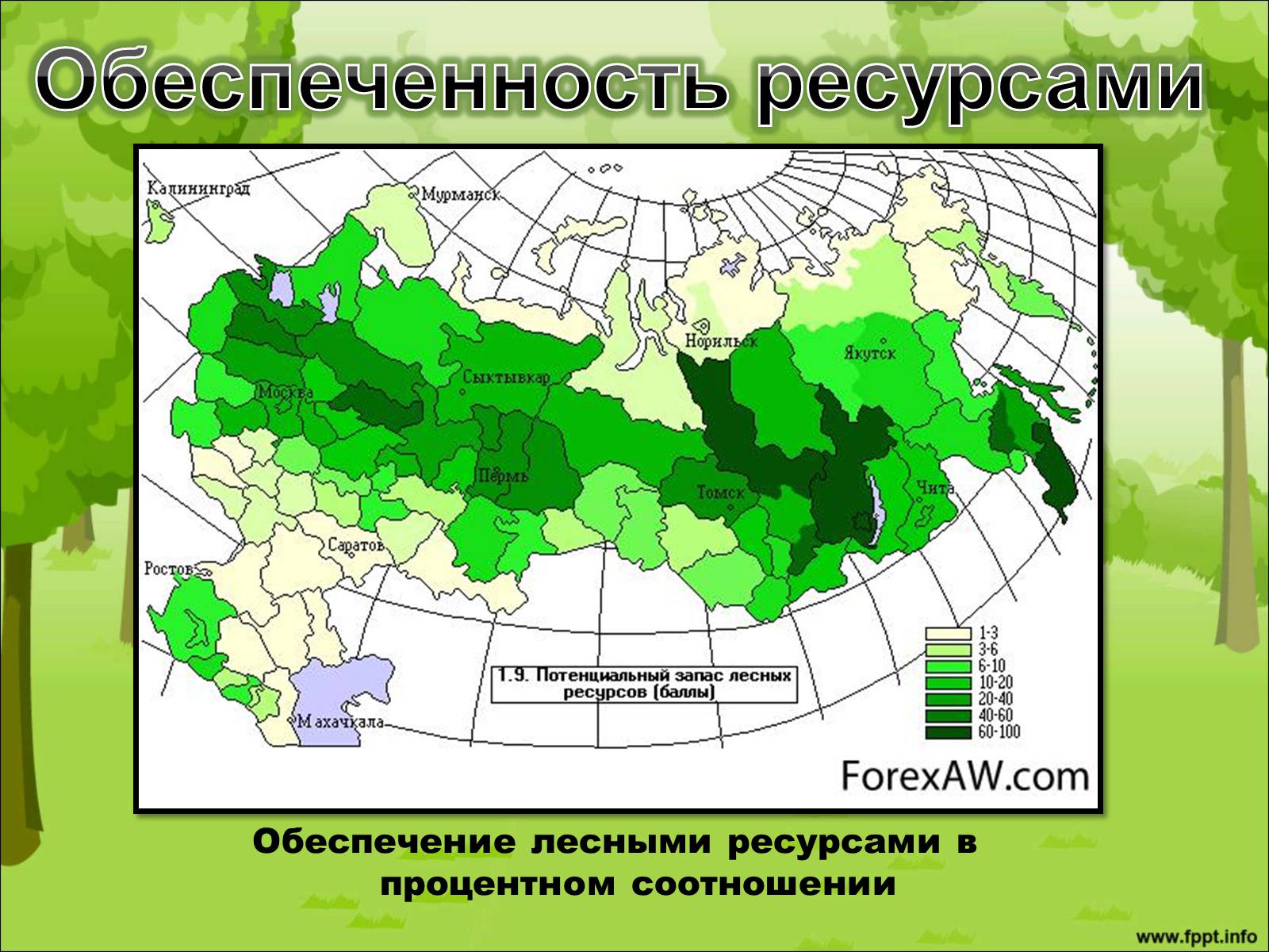 Лесные ресурсы России таблица