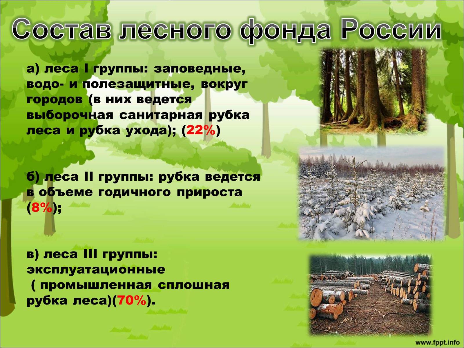 Презентація на тему «Лесной комплекс России» - Слайд #5