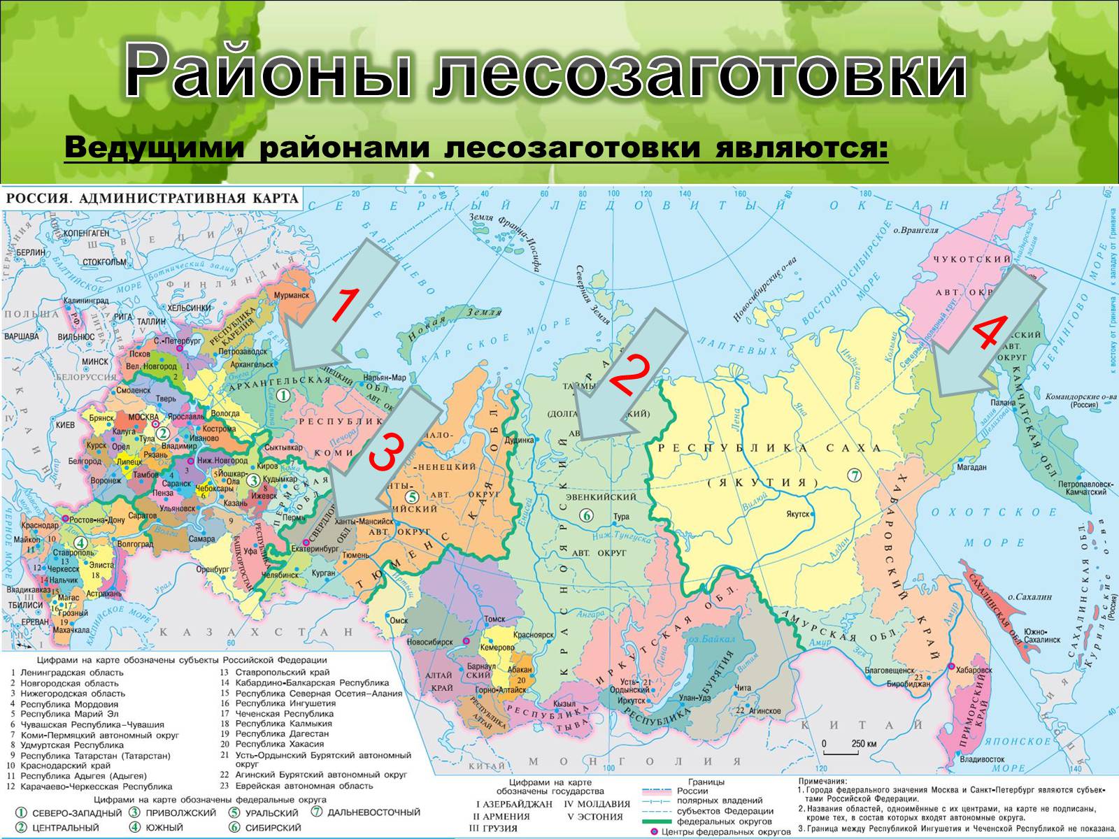 Презентація на тему «Лесной комплекс России» - Слайд #6