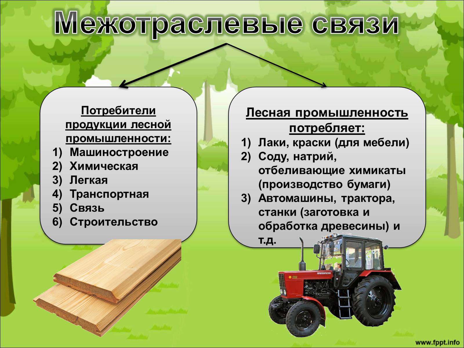 Презентація на тему «Лесной комплекс России» - Слайд #8