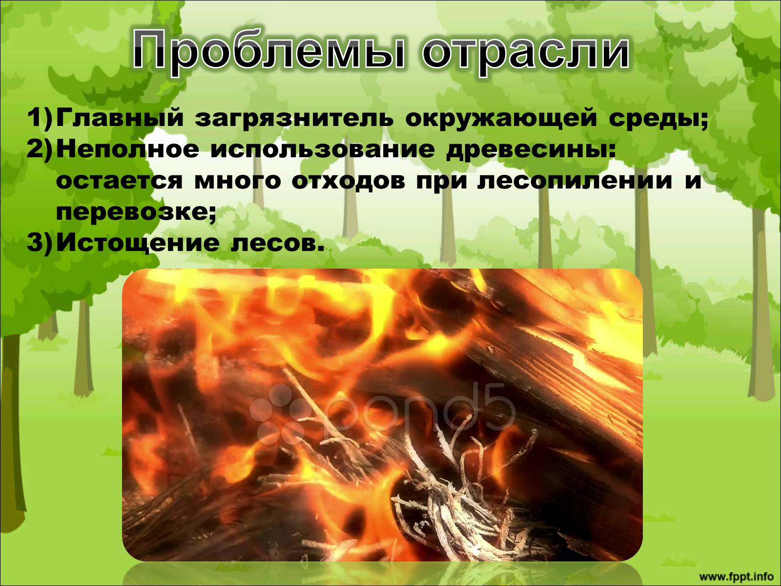Презентація на тему «Лесной комплекс России» - Слайд #10