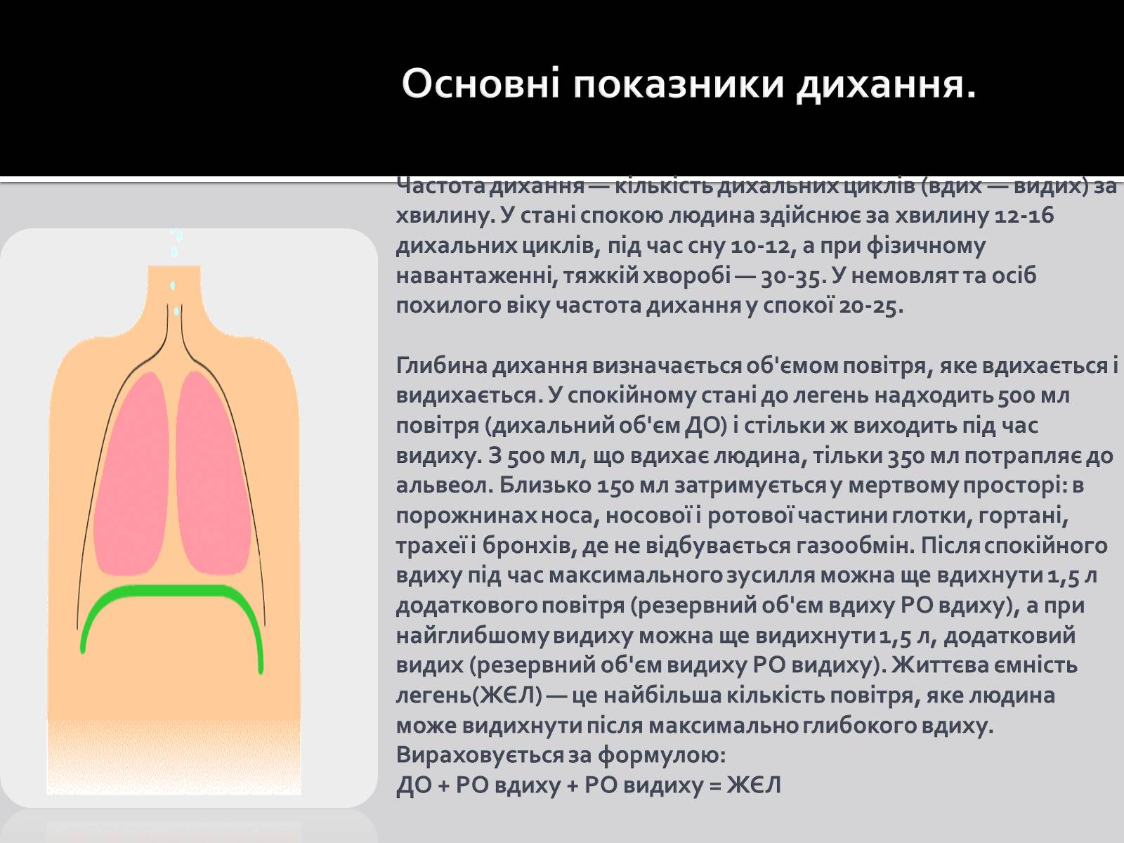 Презентація на тему «Дихальна система» (варіант 1) - Слайд #11