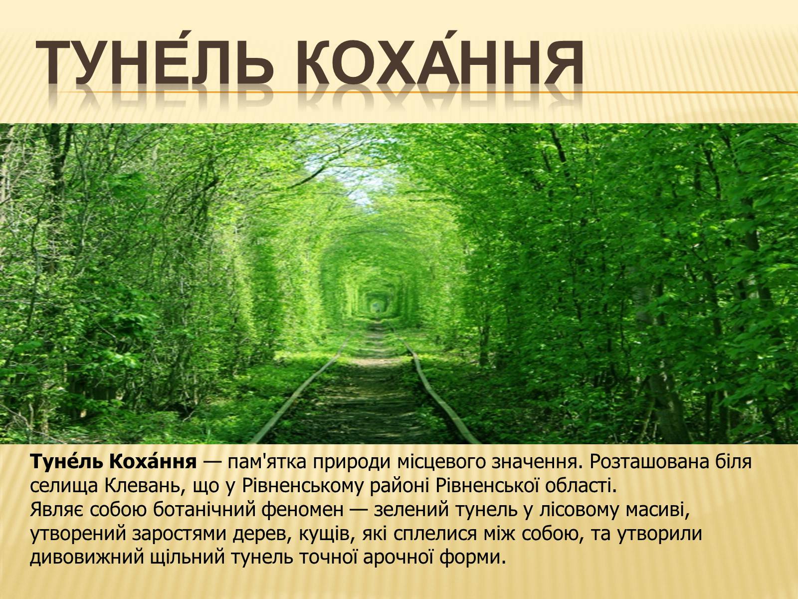 Презентація на тему «Природні пам’ятники України» - Слайд #4