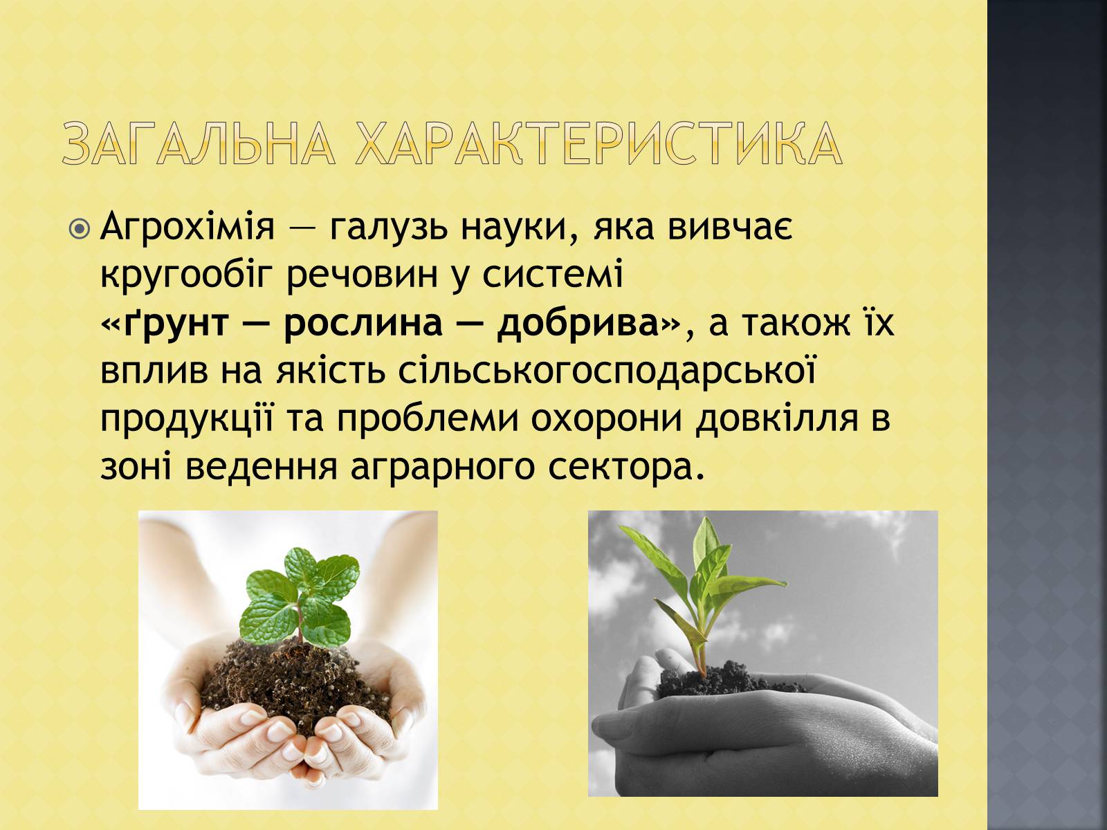 Презентація на тему «Агрохімія» - Слайд #3