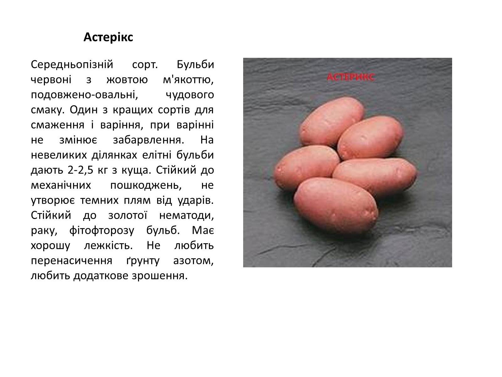 Презентація на тему «Сорти картоплі поширені в Україні» - Слайд #2