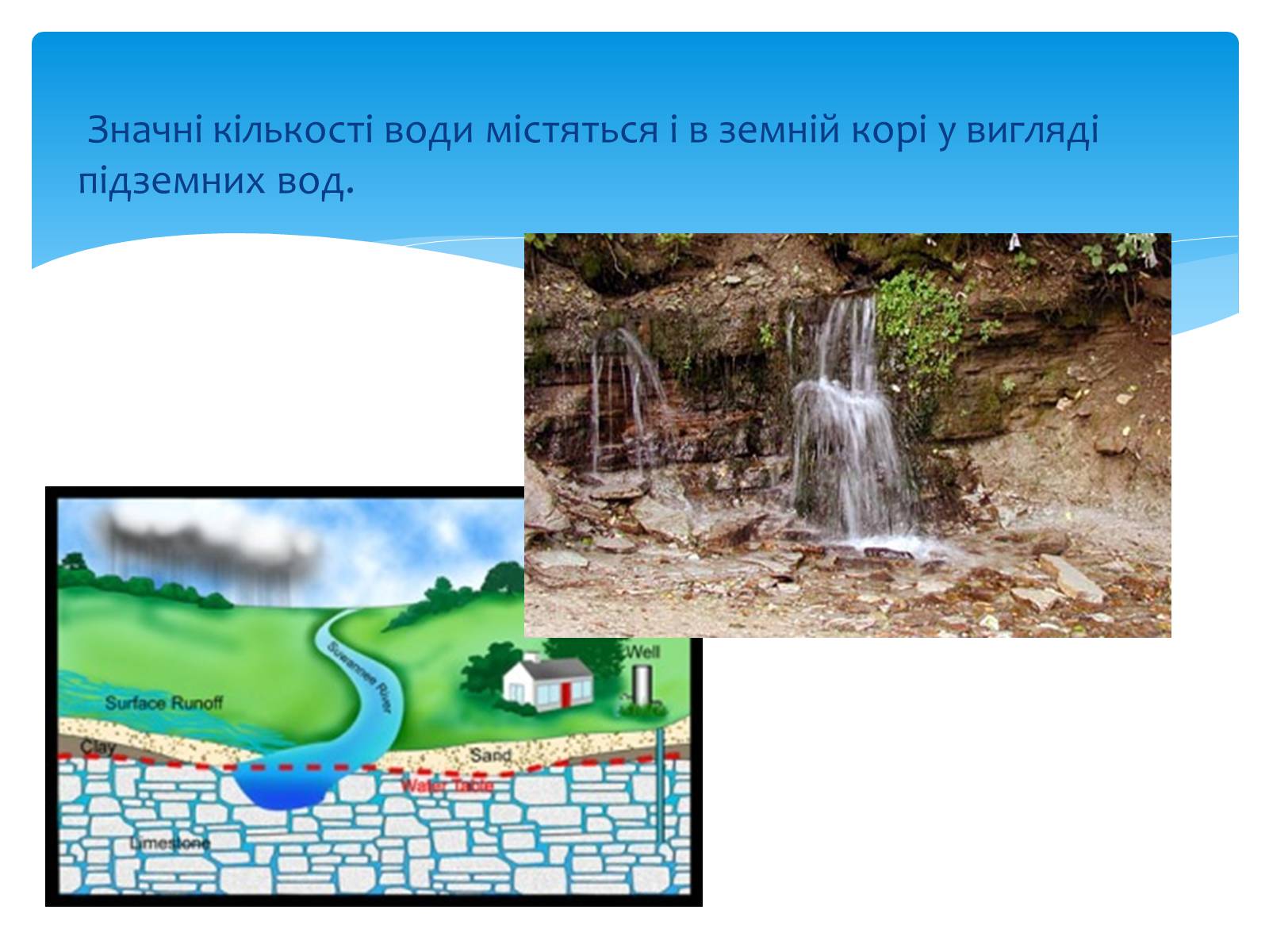Презентація на тему «Вода. Особливості молекулярної води. Роль води в життєдіяльності організмів» - Слайд #7