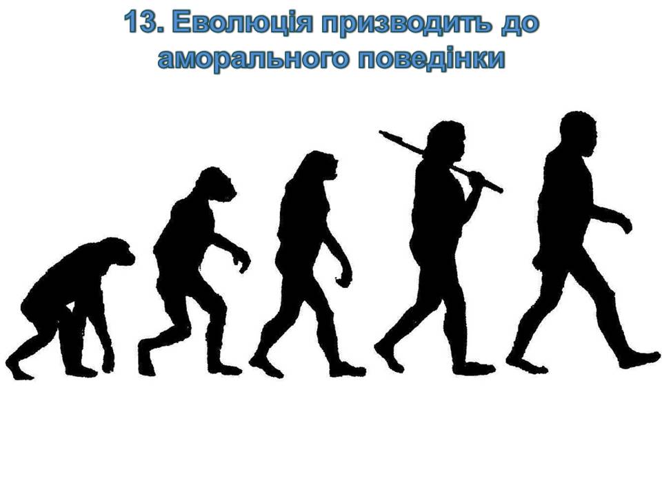 Презентація на тему «14 головних помилок про еволюцію» - Слайд #17