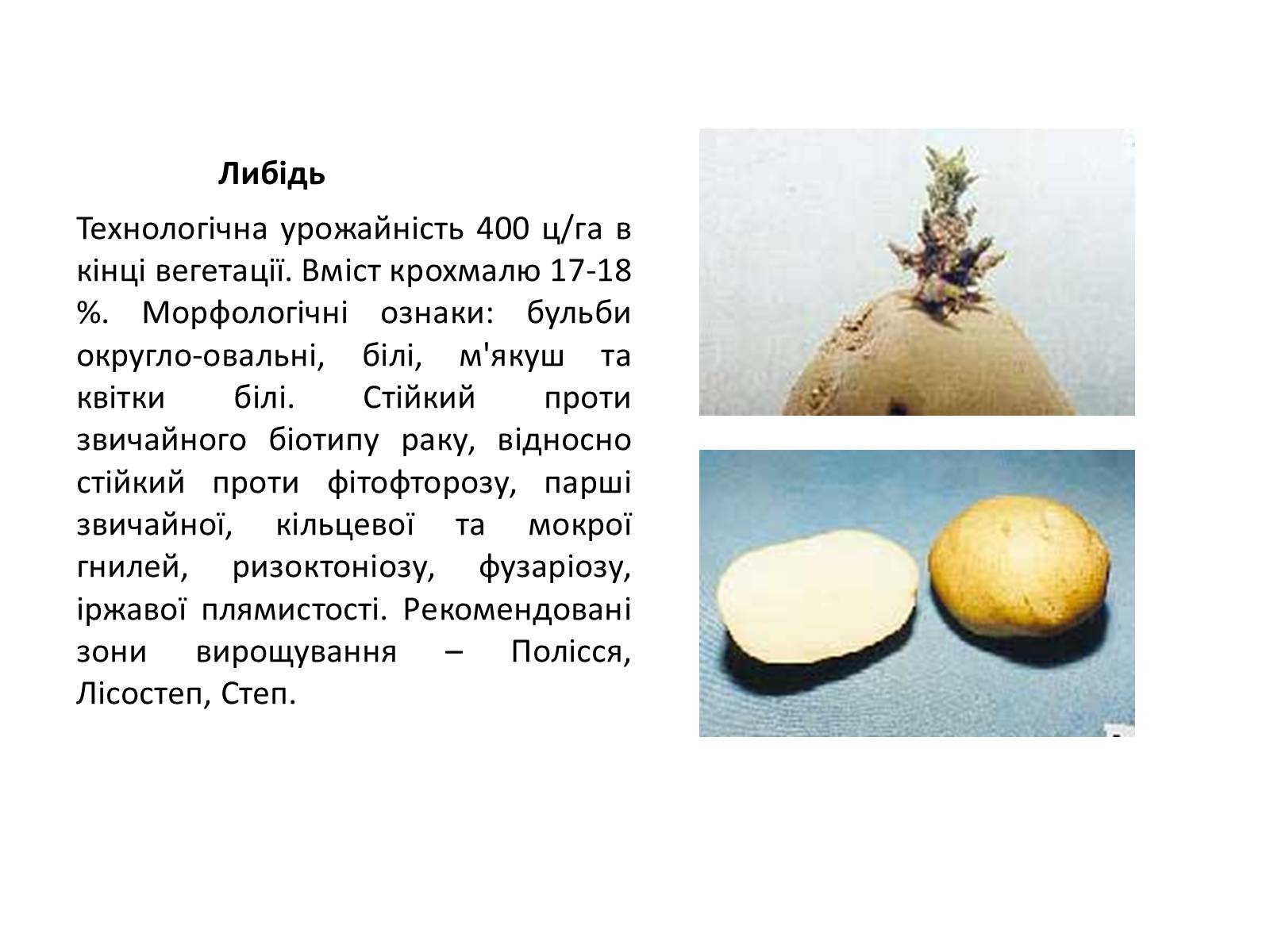 Презентація на тему «Сорти картоплі поширені в Україні» - Слайд #9