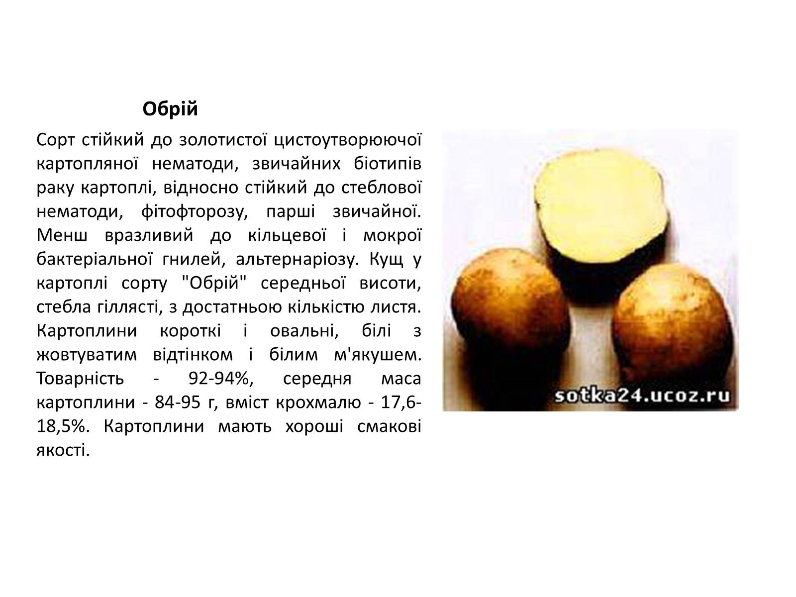 Презентація на тему «Сорти картоплі поширені в Україні» - Слайд #20