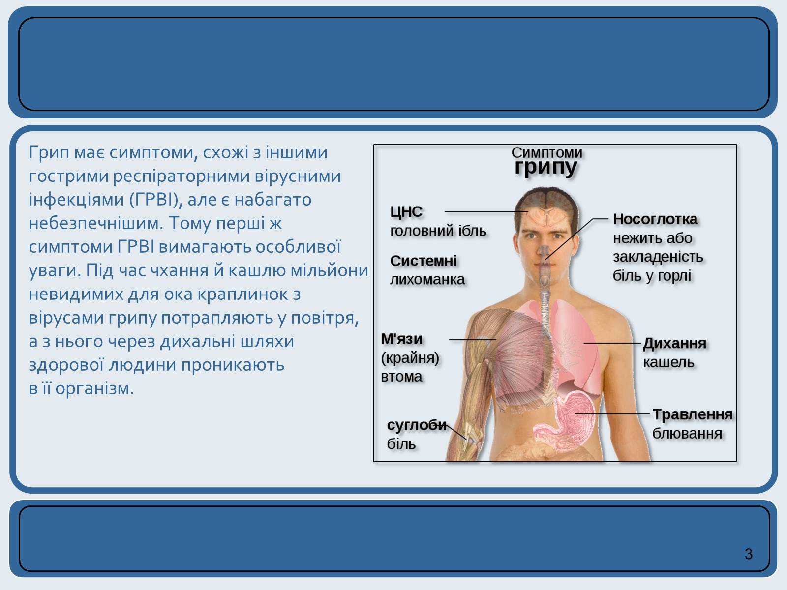 Презентація на тему «Хвороби органів дихання та їх профілактика» (варіант 2) - Слайд #3