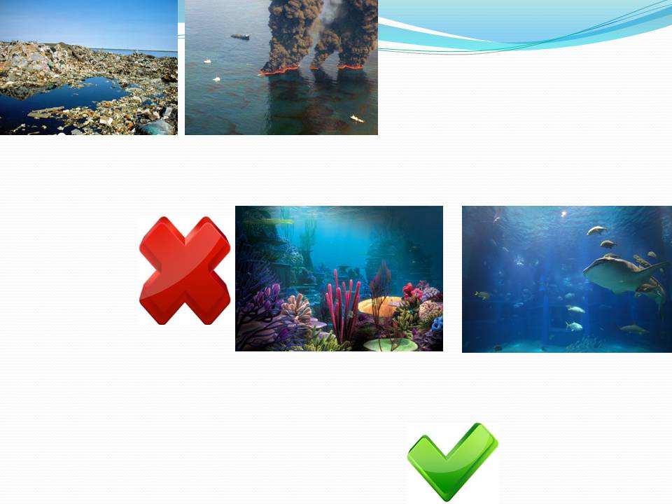 Презентація на тему «Влияние человека на загрязнение мирового океана» - Слайд #22