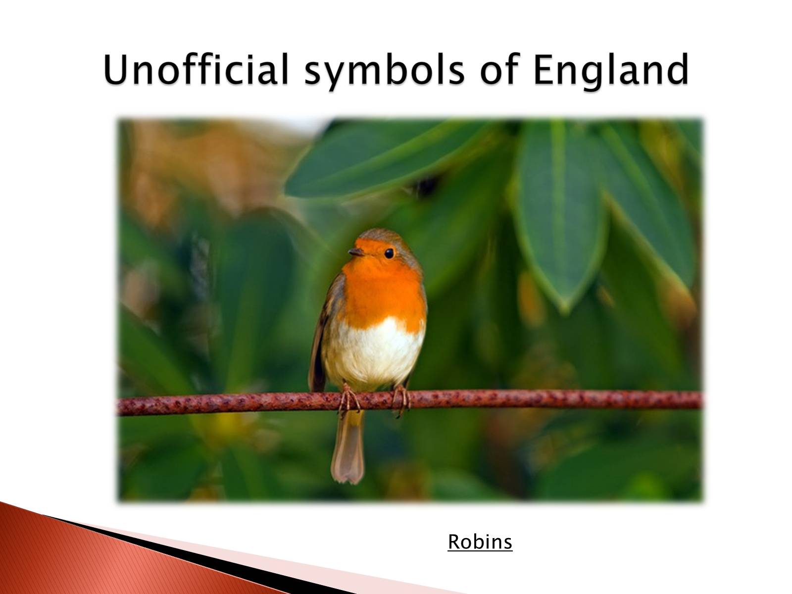 Презентація на тему «England» (варіант 1) - Слайд #10