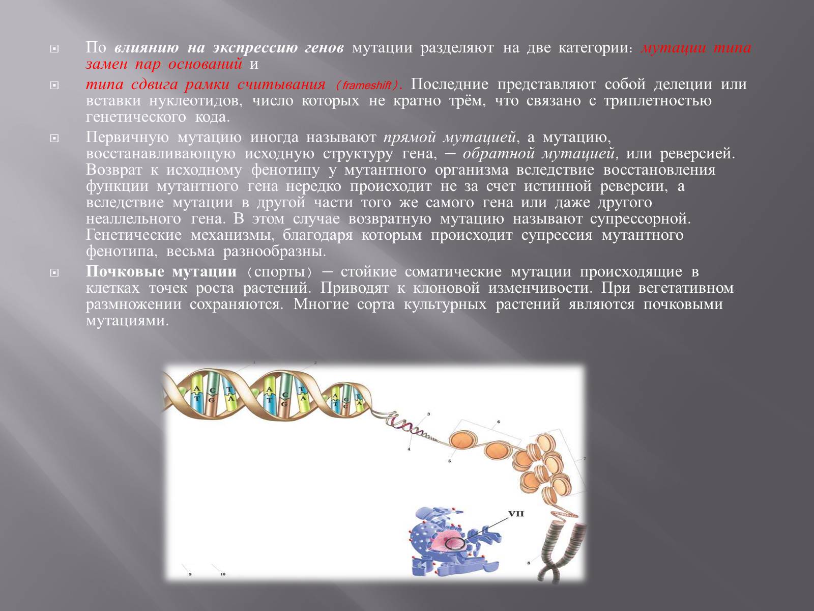 Презентація на тему «Мутации, мутогены, виды мутаций, причины мутаций, значение мутаций» - Слайд #16