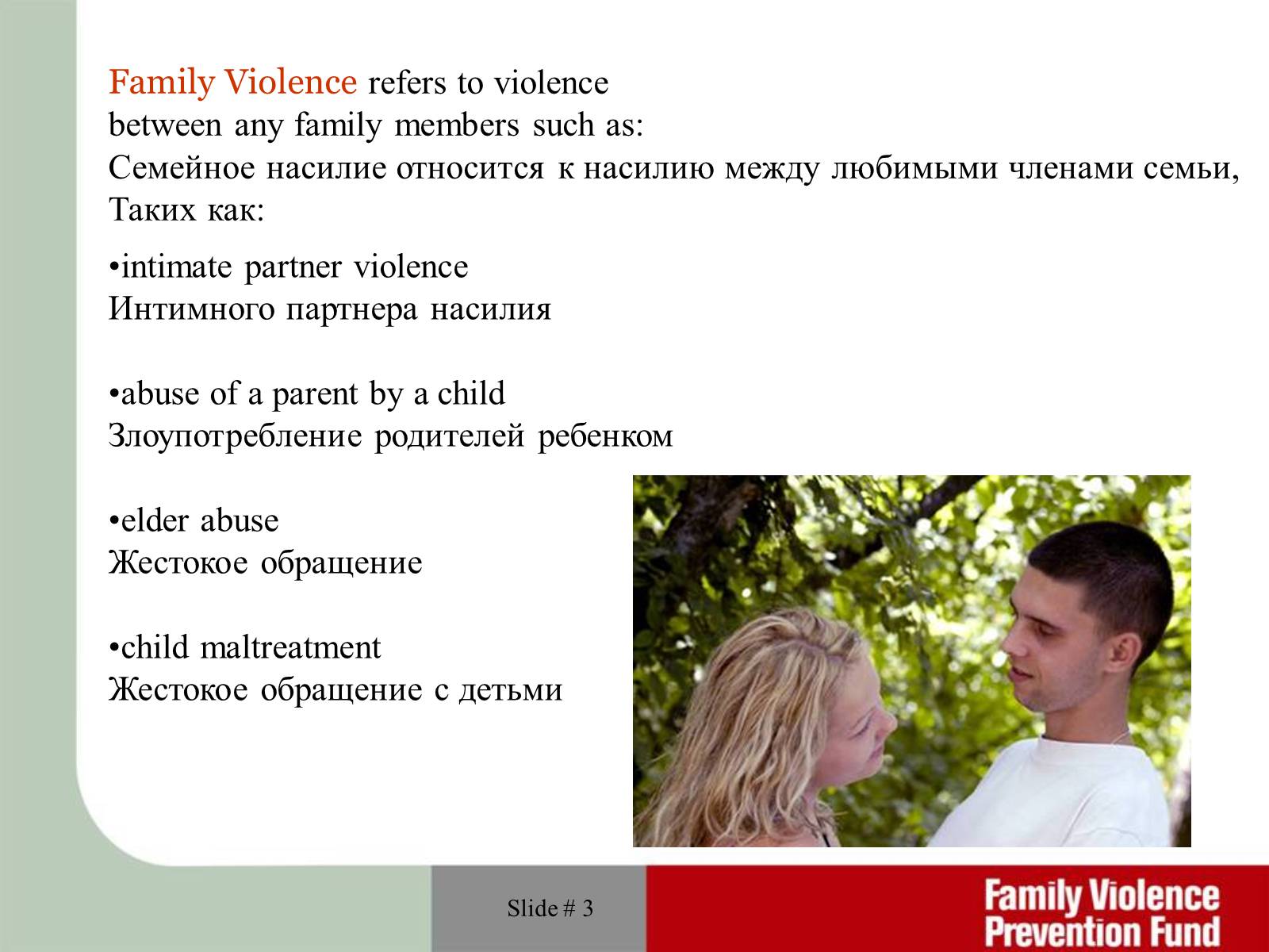 Презентація на тему «Domestic and child violence» - Слайд #3