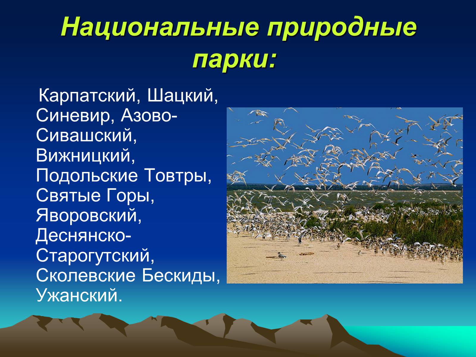 Презентація на тему «Заповедники Украины» (варіант 1) - Слайд #8