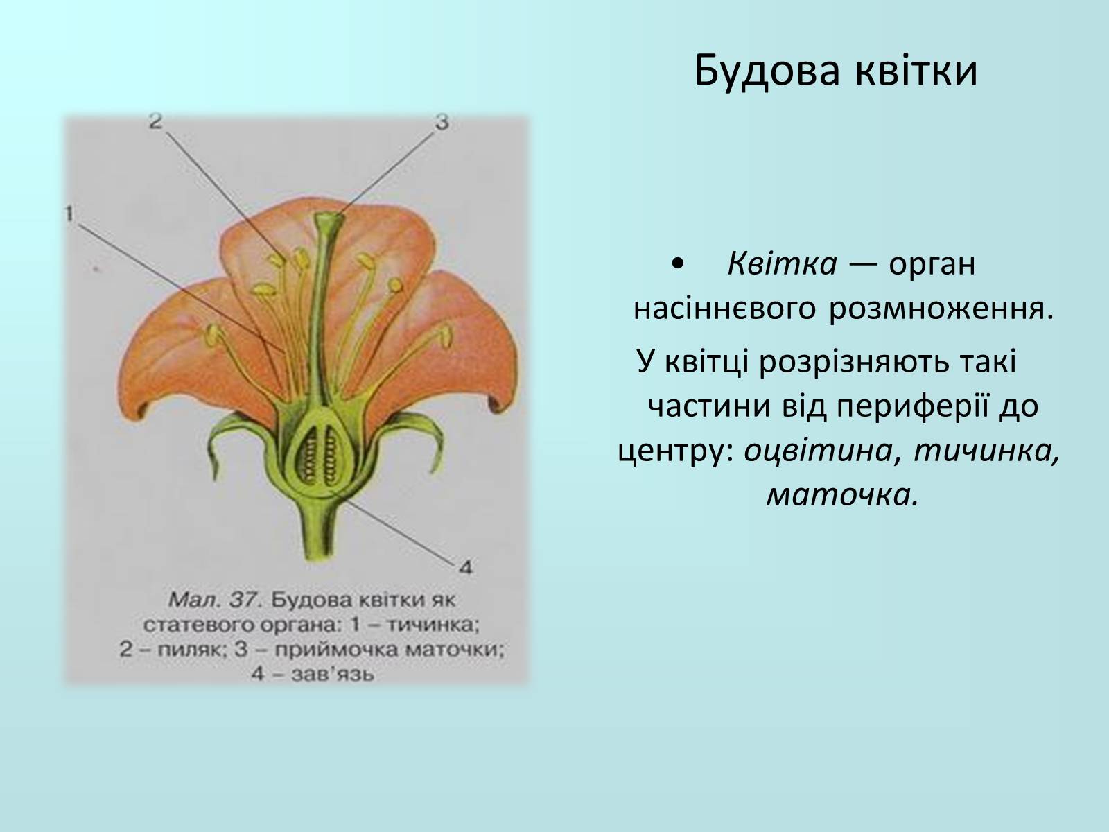 Презентація на тему «Запилення та запліднення рослин» (варіант 2) - Слайд #1