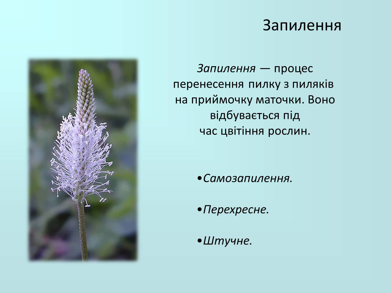 Презентація на тему «Запилення та запліднення рослин» (варіант 2) - Слайд #2