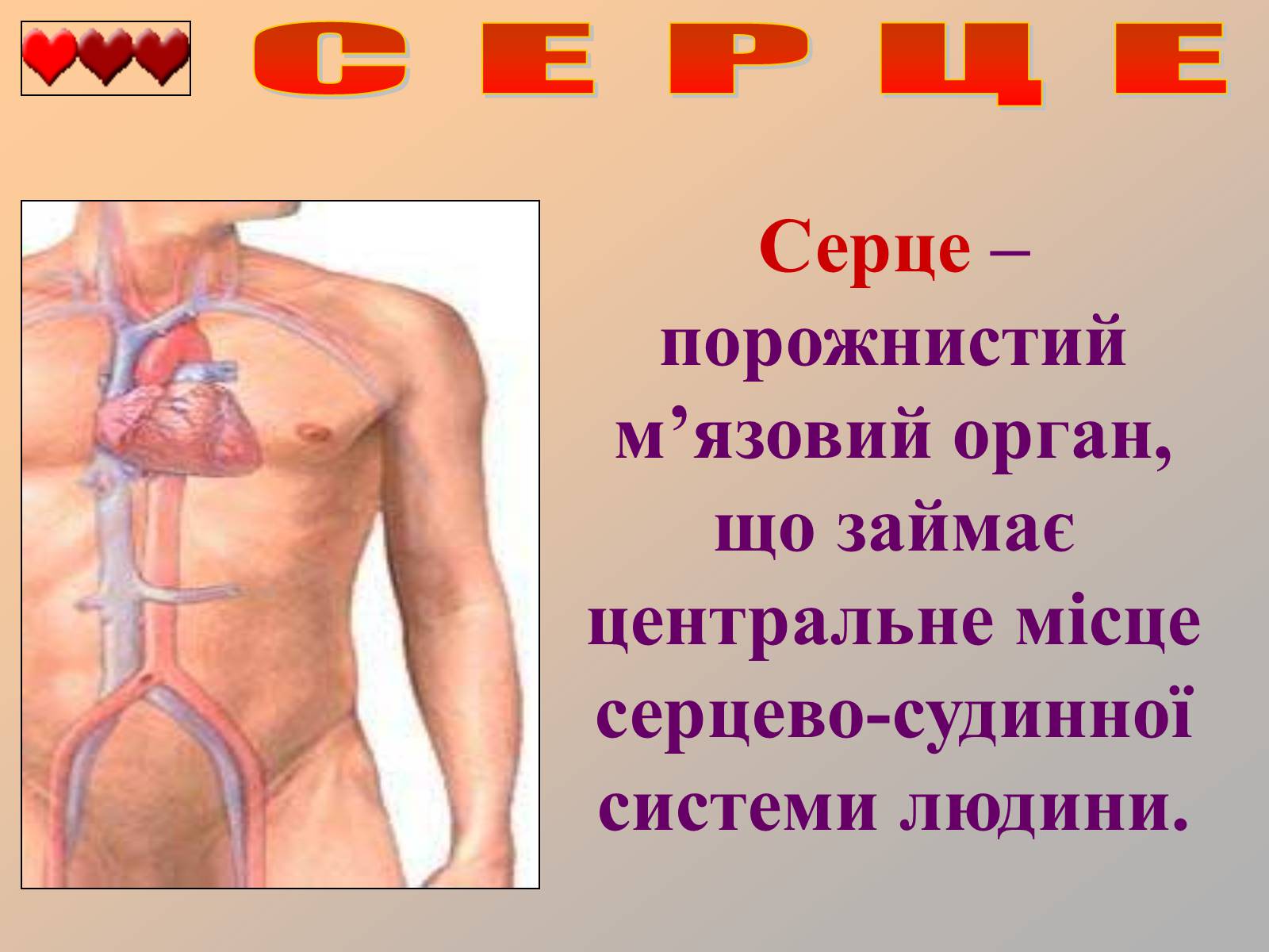 Презентація на тему «Серце людини» (варіант 1) - Слайд #2