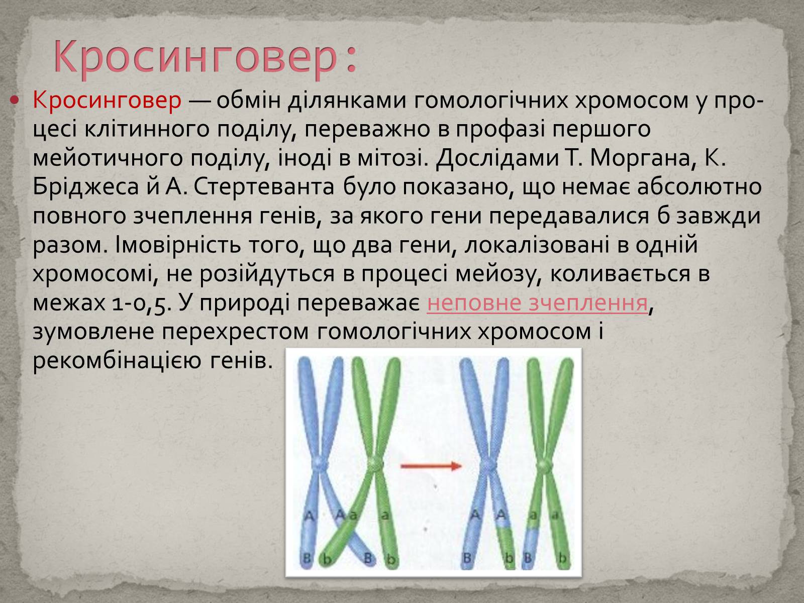 Презентація на тему «Хромосомна теорія спадковості» (варіант 1) - Слайд #7