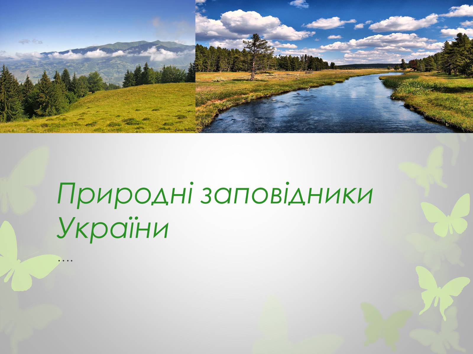 Презентація на тему «Природні заповідники України» (варіант 3)